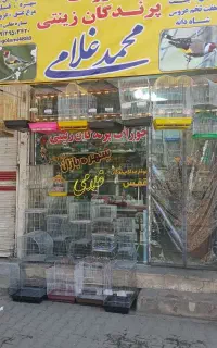 انواع لوازم پرنده