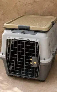 باکس سگ