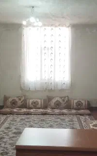 بالشت پشتی