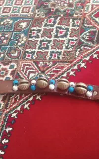زنگوله سگ