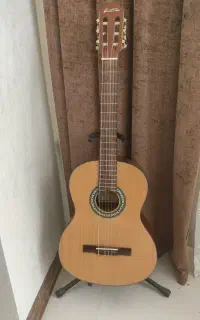 گیتار بست فان