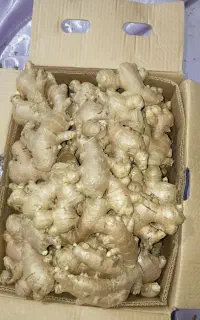 زنجبیل تایلندی