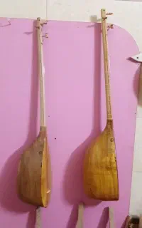 تنبورکاسه ای وزم