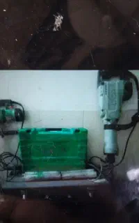 کارپیکور