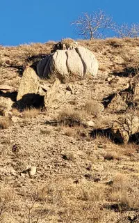 نیروی کار خانوم برای پاک کردن سیر