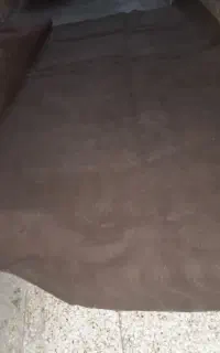 موکت
