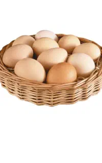 تخم مرغ خانگی