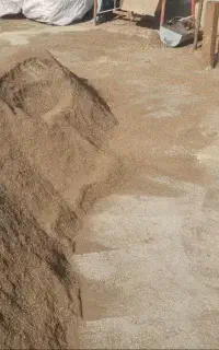 تفاله خرما جهت خوراک دام و طیور