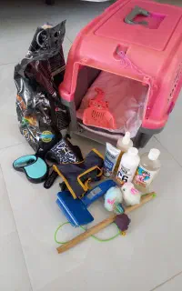 مقداری وسایل نگهداری گربه