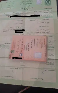 البرز تک باری