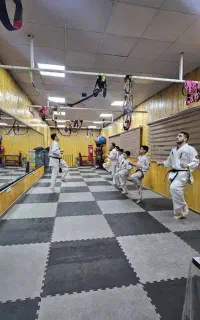 باشگاه ورزشی آرمو