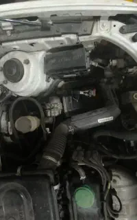 کوییک تصادفی