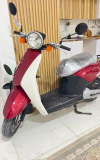 پاکشتی تودی ژاپن
