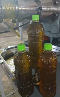 روغن کلزا ارگانیک