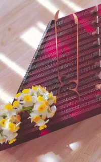 تدریس از صفرتا حرفه ای سنتور به صورت تخصصی