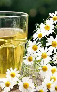 شرایط ویژه کار برای بانوان و آموزش بصورت آنلاین