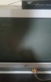 تلوزیون