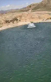 استخدام کارگر جهت پرورش ماهی