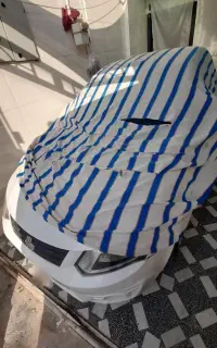 ساینا