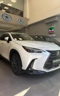 لکسوس nx260 / 2025