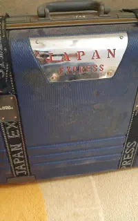چمدان سفری
