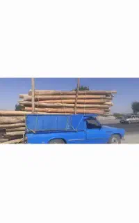 انواع چوب خریدارم