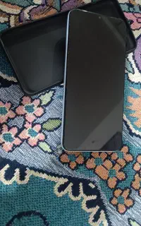 A13
