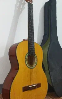 گیتار برای افراد مبتدی تا حرفه‌ای