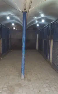 باشگاه سوارکاری