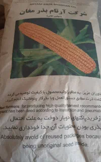 بذر ذرت ۷۰۴