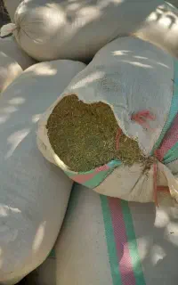 جاشیر‌خوراک‌دام