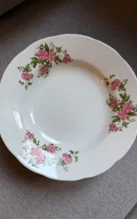 بشقاب گلسرخی نو