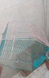 قفس کلبه ای