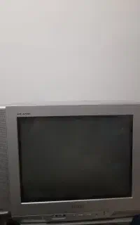 تلوزیون