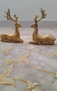 فروش ۲ عدد گوزن برنج