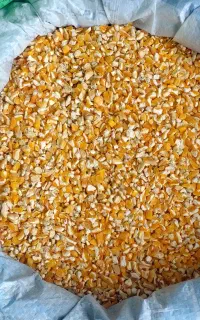 فروش خوراک دام و طیور
