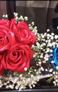 گل رز روبانی تک و عمده