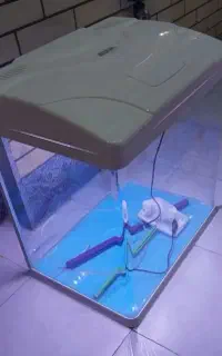 اکواریوم