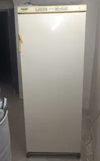 یخچال فیلور اصل