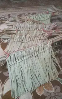 جاروی عربی