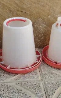 ظرف دان واب خوری جوجه