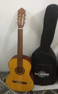 گیتار رویال