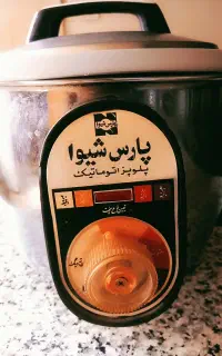 پلو پز برقی وسرخ کن