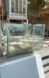 اکواریوم