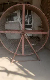 فروش چرخ و فلک برای راه بردن خروس لاری