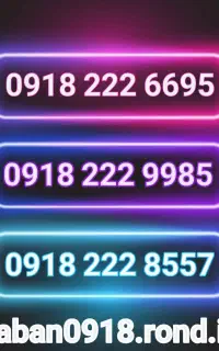 09182229985