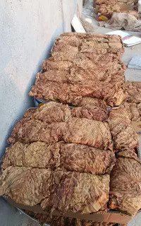 ت ن ب ا ک اصل بنیاد درجه یک برگ پلنگی. تند