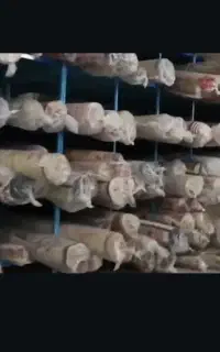 قالیشویی نجف اباد تیران رضوانشهر