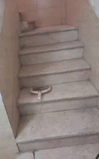 نظافت راپله و پاکینک