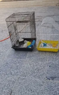 دوتا قفس